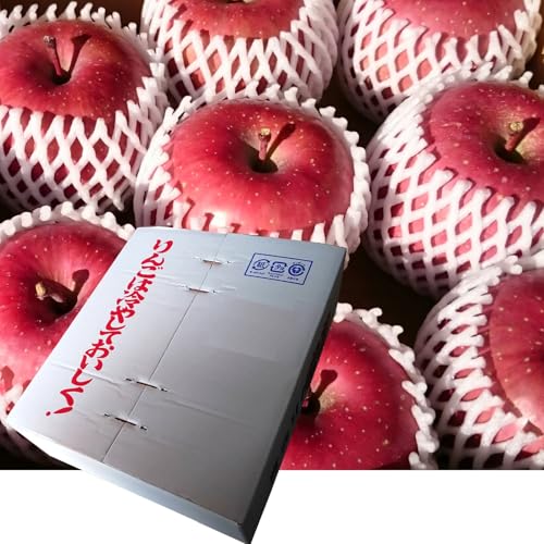 青森県産 贈答用秀品(大玉)りんご サンふじ3kg箱(通常梱包)ギフト用 藤崎農園