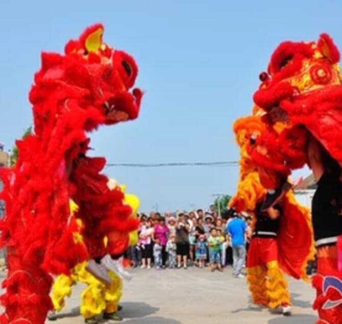 ジオメトリック】 🏍 中国の旧正月獅子舞マスコット衣装ウール獅子舞中国の民芸大人
