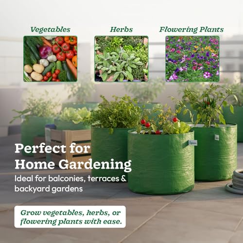 Image of UGAOO Grow Bags 12x12 Inch, Set of 6, 250 GSM Heavy-Duty HDPE Plant Bags for Terrace Gardening, Home Garden, Vegetables & Plants, UV-Resistant Reusable Green Gardening Bags