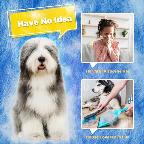 Haustierpflege-Handschuhe - Katzenbürsten für sanftes Haaren - Effiziente Haarentfernungshandschuhe - Waschhandschuhe für Hunde mit langem & kurzem Haar, Katzen & Pferde - 1 Paar (Blau)