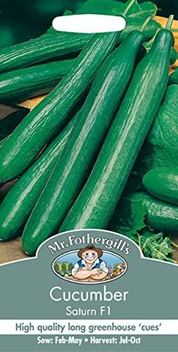 Cucumber Saturn f1 seeds