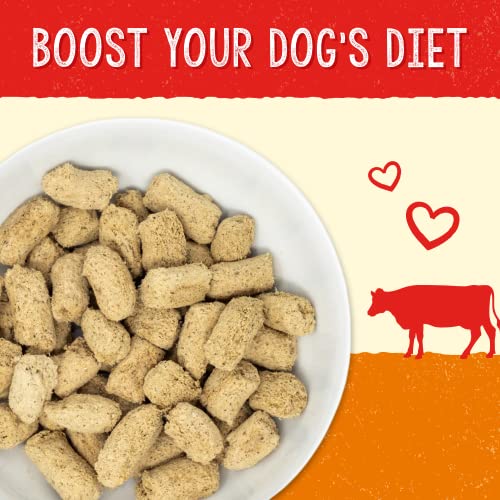 Stella & Chewy’s – Stella’s Options Digestive Increase – Grass-Fed Beef Dinner Morsels – Freeze-Dried Uncooked, Protein Wealthy, Grain Free Canine Meals – 13 oz Bag Stella & Chewy’s – Stella’s Options Digestive Increase – Grass-Fed Beef Dinner Morsels – Freeze-Dried Uncooked, Protein Wealthy, Grain Free Canine Meals – 13 oz Bag