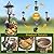 Muzzysse Rooster Statues Outdoor Solar Sculptures with Solar Lights and Flowerpot Funny Garden Decor Animal Figurines Resin Outdoor Statues for Patio Yard Lawn Balcony Grandma Mom Gifts