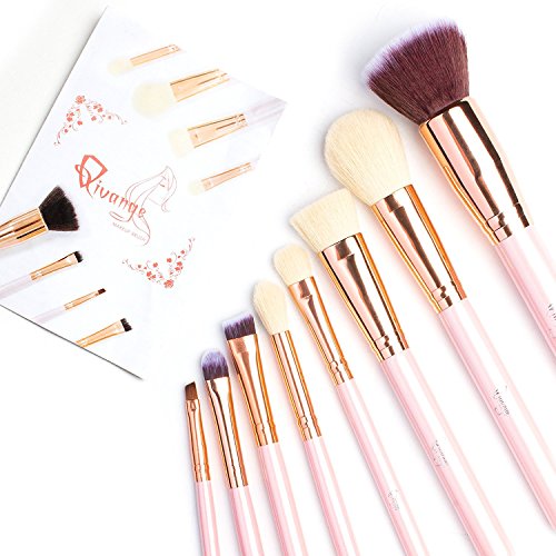 Qivange Makeup Brushes 14 PCS Concealer Powder Liquid Foundation Blush Brushes Premium Synthetic Eyebrow Travel Makeup Brush Set with Case for Blending Eye Shadow Full Face Make Up Gift