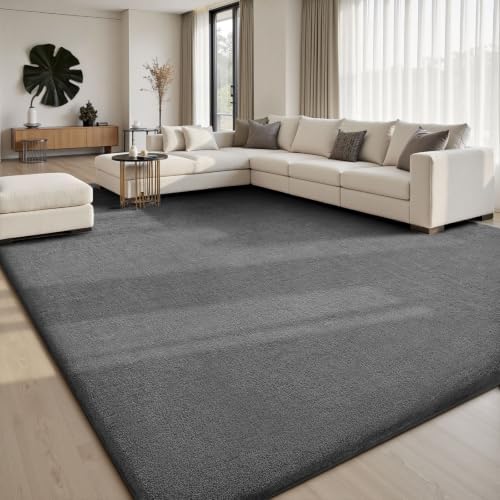 Sour Lemon Large Rugs Living Room 200x300cm,Grey Rug Carpet for B...