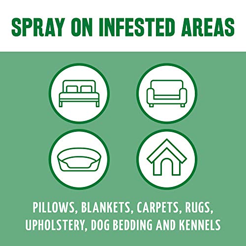 TropiClean Natural Flea and Tick Spray for Home | Maximum Strength Flea Spray for Carpet and Furniture | Family-Friendly… - Image 6