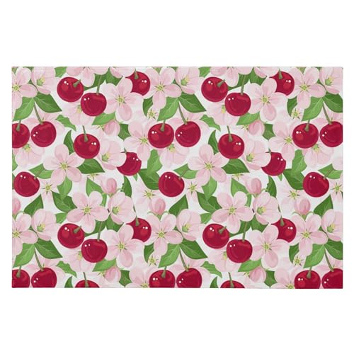 SAMAU  փ}bg  ԕ  TN{ ӂӂ hA}bg DƂ ~ O Ɩp ItBXp ƒp 唻 60*90CM