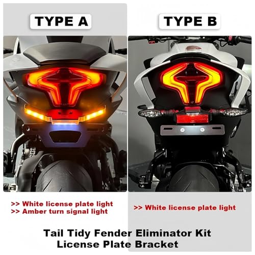 Support de plaque d'immatriculation pour CFMOTO 450NK 450SR SS Type B - 4