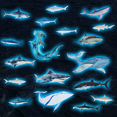 Lightfilm Shark Tank Update After the Show Season 2 (2024 Update)