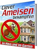Clever Ameisen bekämpfen: im Haus und im Garten