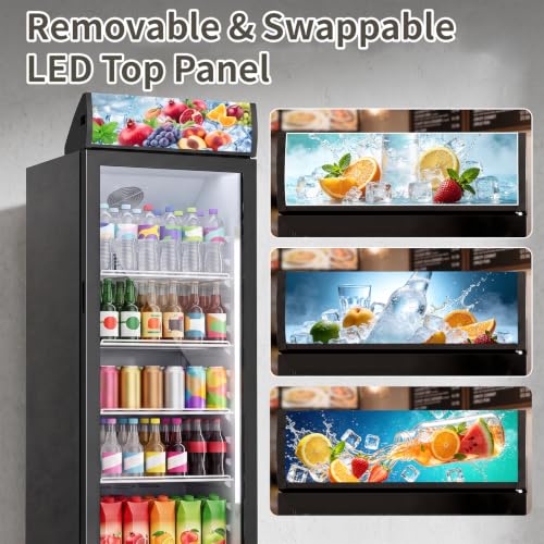 Image of DOGHLY 9 Cu.Ft Commercial Glass Door Beverage Refrigerator, Rapid Cooling