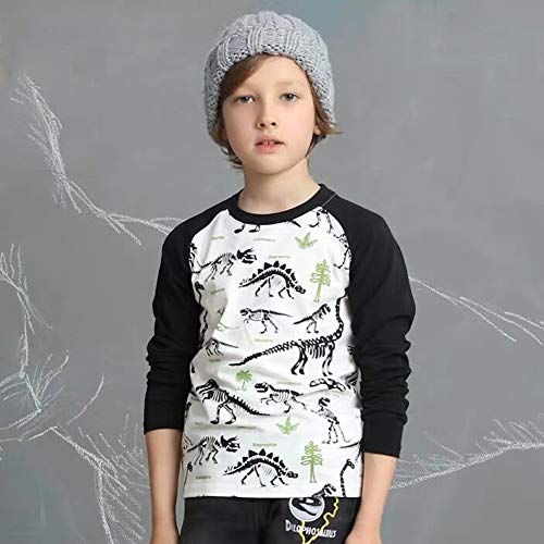 Image of Julylee Girls Cotton Pink Sweatshirts Hoodie Dinosaur Printed Tops