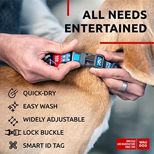 WAUDOG Verstellbares Welpenhalsband für kleine Hunde – Hundehalsband Jungen und Mädchen Nylon-Welpenhalsband Welpenhalsbänder große Rassen (Ethno Blue, 24,5 cm 34,5 Halsumfang)