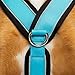 Reflektierendes Hundegeschirr in Y-Form, ideal für Lebreles: Italienischer Windhund, Whippet, Windhund, Podenco - sicher, atmungsaktiv und langlebig, perfekt zum Training und Laufen, Himmelblau, XL