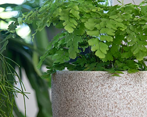 Texture complexe et artisanale : le pot de fleur Artevasi Héstia 17cm - 4
