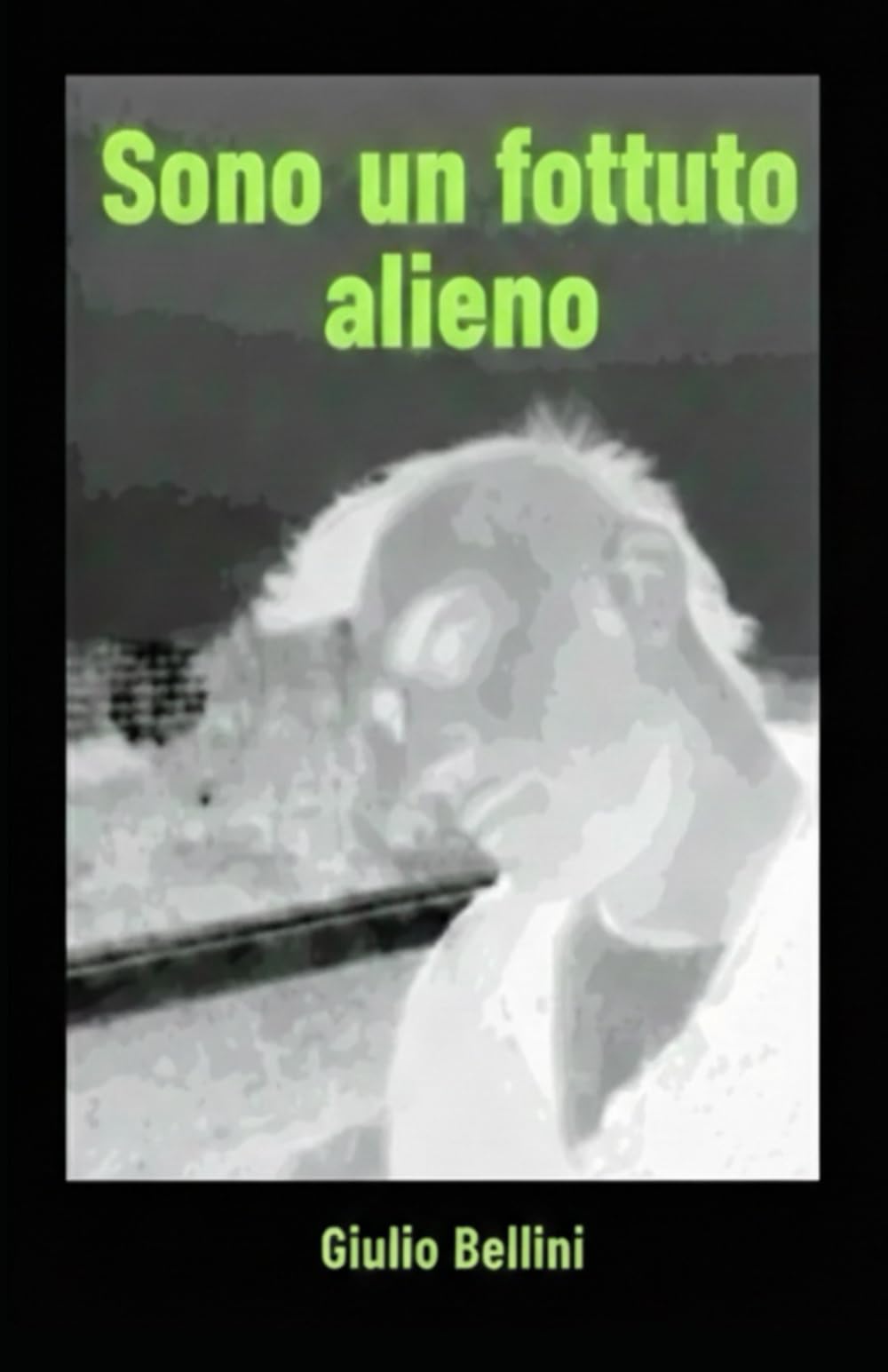 Sono un fottuto alieno