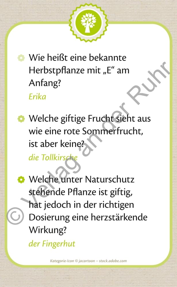 Die große Quizbox für Senioren: Ein Kartenspiel-Set zu lebensweltorientierten Themen in drei Schwierigkeitsstufen