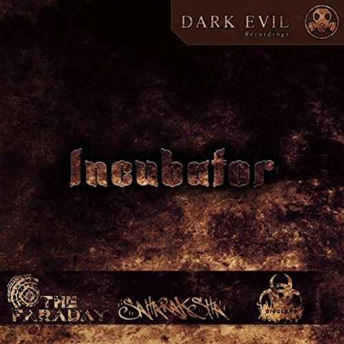  Incubator