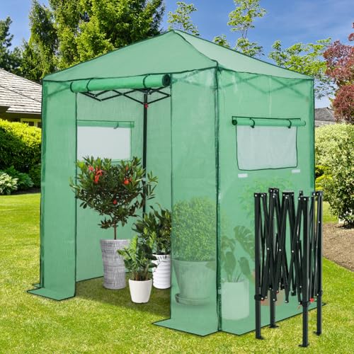Image of EAGLE PEAK 6x4 Easy Setup Small Pop Up Greenhouse, Clear /Green