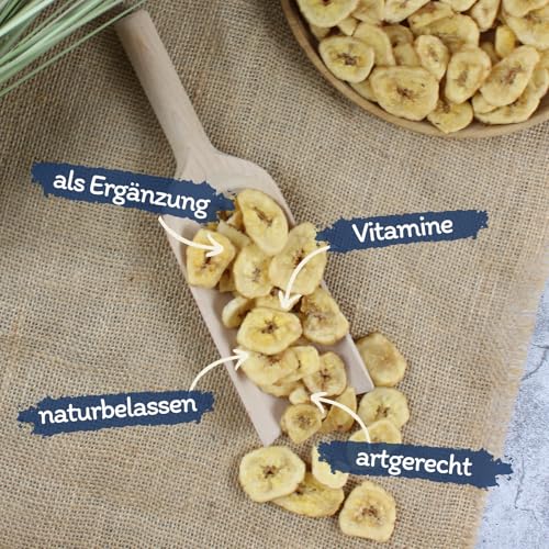 Lyra Pet® 1 kg Bananen getrocknet | Reich an Vitaminen & Ballaststoffen | Bananenscheiben für Vögel, Nager, Pferde & Reptilien | Nährstoffreiches & natürliches Futter | Ideal als Ergänzung