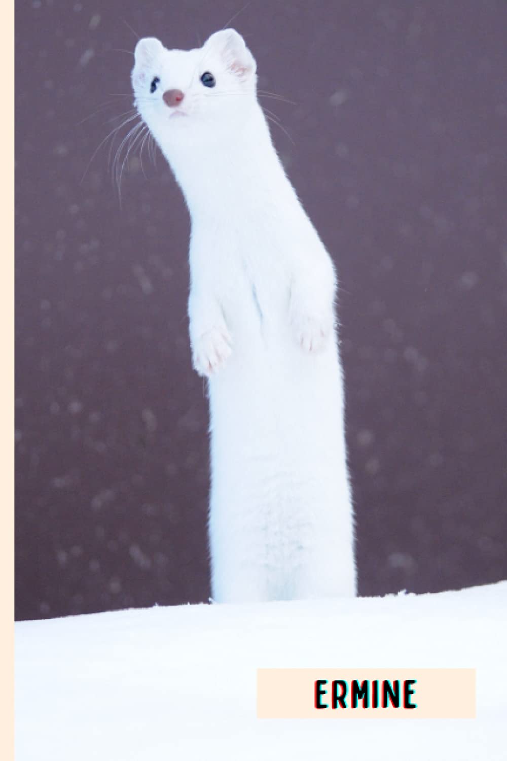 Ermine: Composition Notebook For Ermine Lovers , Ermine Lined Journal ,6x9 Inches , 110 Pages ,Ermine Diary