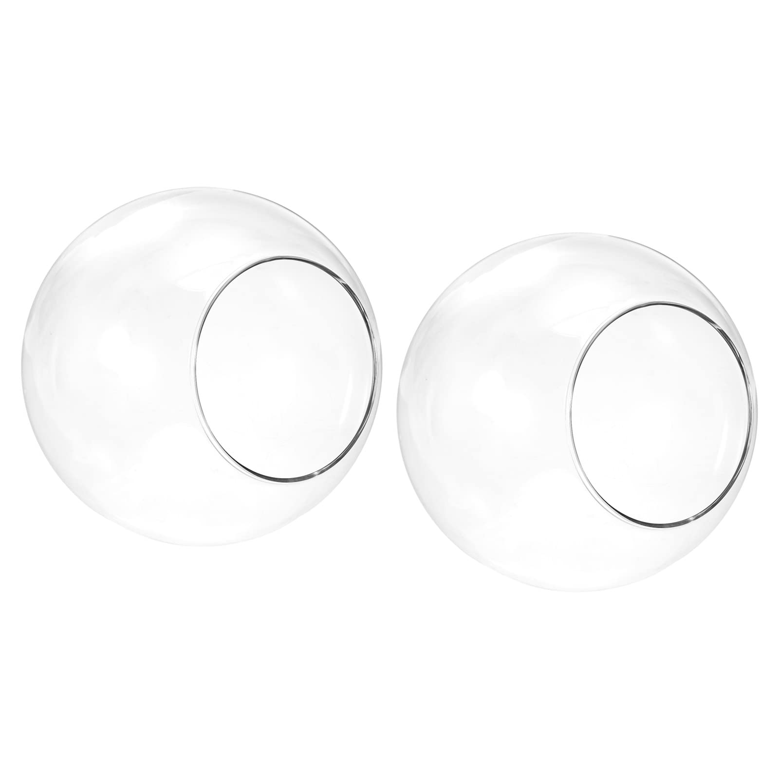 PATIKIL Round Globe Terrarium Air Plant Planter, 2 Pack 5.4 Inch High Borosilicate Glass Table Decorations for Succulent, Tillandsia, Clear