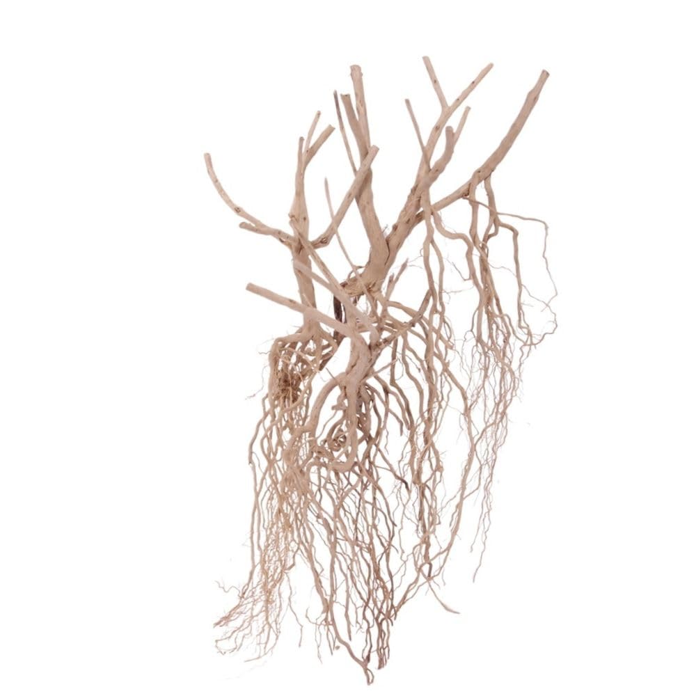 AquaOne Steppen radice n. 8537 - Decorazione per acquario, radice in legno, decorazione per acquario, decorazione per paesaggio, Moorkien Moorkien Redwood Mangrove muschio naturale