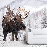 Wall Mural Wild Animals Removable Self-Adhesive Wallpaper Wall Decoration for Bedroom Living Room - 66x96 inches