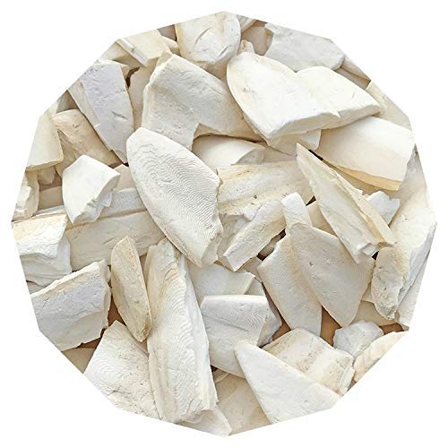 Cuttlefish Bone, Bird Calcium for Finches, Budgies, Conures, Lovebirds, Cockatiels, African Grey, Macaws, Cockatoo, Eclectus,250 GMS (B08TWPDGX9) Amazon Price History, Amazon Price Tracker