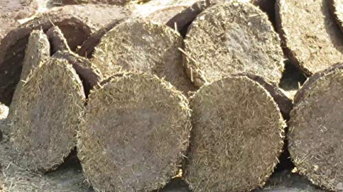 Image of Cow Dung Cakes (Brown)