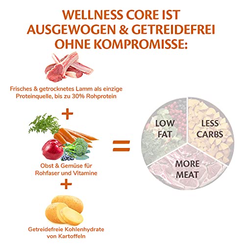 Wellness CORE Lamb 10 kg, Lamm – Hundefutter Trocken für alle Hunderassen, getreidefrei, natürlich, hypoallergen, proteinreich, hoher Fleischanteil, unterstützt eine gesunde Verdauung