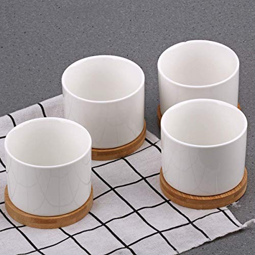 Zoutog Succulent Pots, White Mini 3.15 Inch Ceramic Flower Planter Pot With Bamboo Tray, Pack Of 6 - Plants Not Included #TOP7