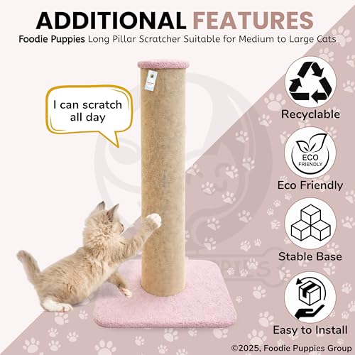 Image of Foodie Puppies Cat Scratching Post with Stable Base (78 cm, Long Pillar) | Durable Cardboard Paper Scratch Pole for Cats & Kittens | Indoor Cat Scratcher for Furniture Protection | Easy to Assemble