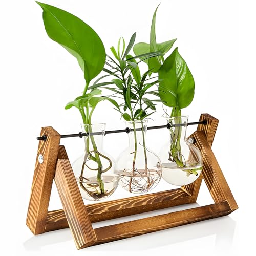 Plant Propagation Stations - Plant Terrarium with 3 Bulb Vase & Wooden Stand, Terrarium for Hydroponic Plants, Gifts for Mum Women Plant Lovers, House Warming Gifts New Home for Her Home Decor