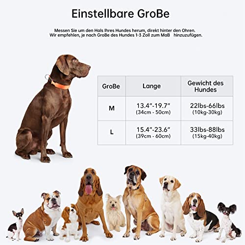 KOSKILL Leuchthalsband Hund Wiederaufladbare USB LED Hundehalsband Wasserdichtes Leuchtendes Hunde Halsband Einstellbare Super Helle für Mittlere Große Hunde (Orange, M)