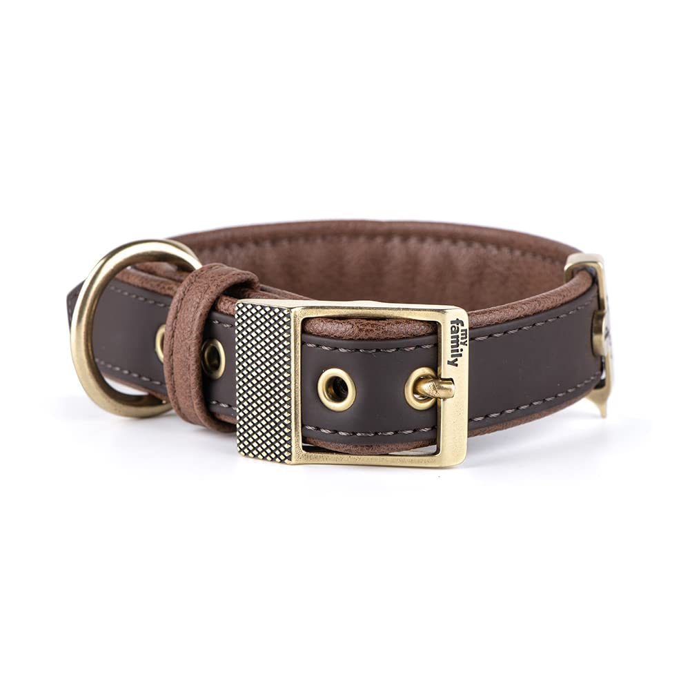 Collar Ajustable Para Perros Salvador Hebilla De Metal 5 Colores 3 Tamanos Amarillo