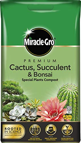 Miracle Gro Cactus & Bonsai Compost - 6L BAG, (New 2020 Range)