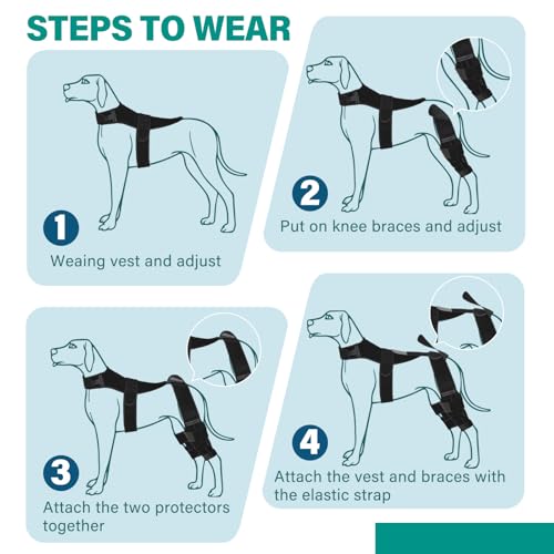 Image of Dog Knee Brace with Vest, Support Dog Acl Brace Hind Leg Torn, Adjustable Dog Rear Leg Braces for Cruciate Ligament Injury, Joint Pain Relief and Arthritis (Double, 4)
