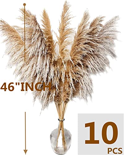Image of Natural Pampas Grass Decor Tall, Pompas Grass, Tall Pampas Grass for Weddingm, Farmhouse, Boho Home Decor (Brown)