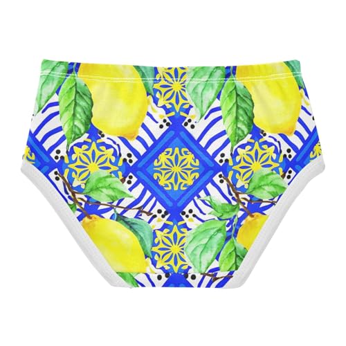 Toddler Girls Underwear 2t Cotton Little Girl Panties Bright Kids Briefs Undies Watercolor Lemons2