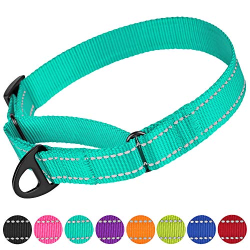 CollarDirect Reflective Martingale Dog Collar Nylon Training Collars for Small Medium Large Dogs