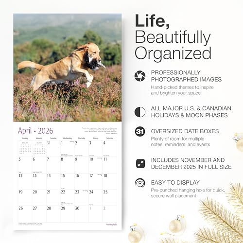 Image of RED EMBER Hunting Labs 2026 Wall Calendar 12 Month | 12 inch x 24 inch Open | Thick & Sturdy Paper | Giftable | Sport Labrador Retriever Puppy Dog Calendar 2026