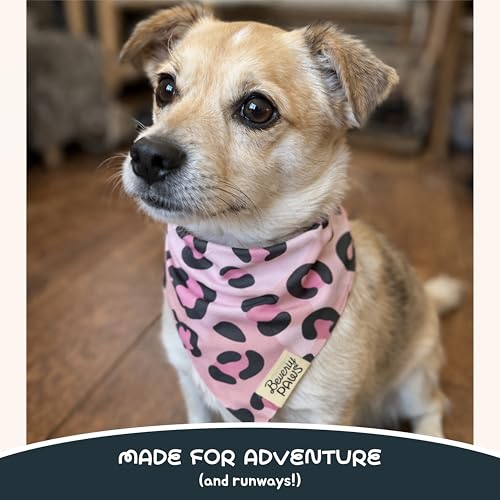 Bandana à clipser réglable et mignon motif léopard rose M