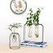 Ivolador Modern Tabletop Metal Frame Test Tube Vase Planter Terrariums Metal Stand with 2 Test Tube Perfect for Propagating Hydroponic Plants Home Garden Wedding Decoration (Black)
