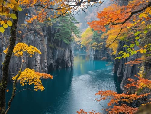 G hGLbg DIY  GA[g 40×50cm t[Ȃ SҌ z[ ItBX CeA - Xk