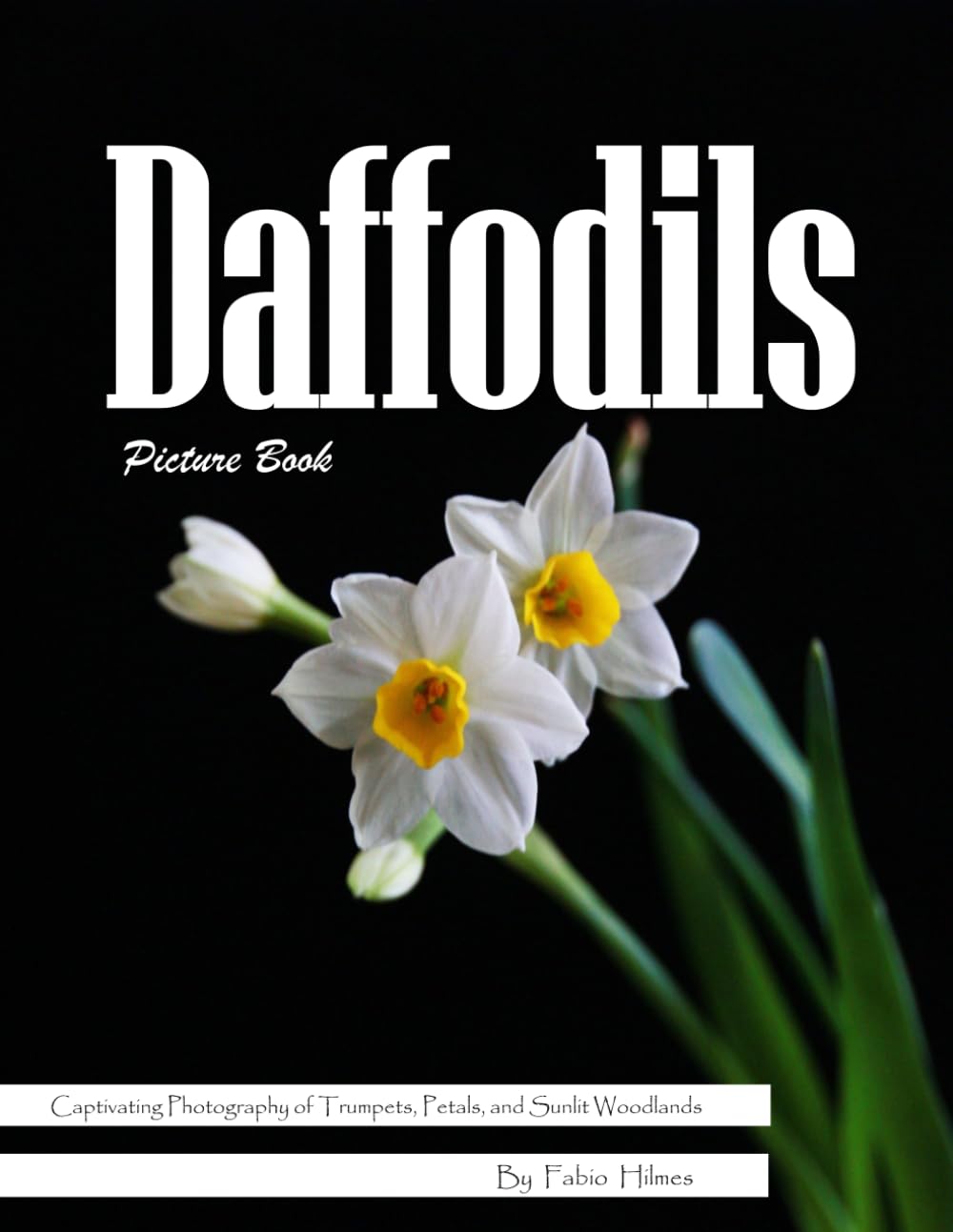 Daffodils: A Bright Visual Celebration of Spring's Cheerful Flower – with a Beginner's Guide to Growing Daffodils for Seniors, Alzheimer's Sufferers, and Garden Lovers.