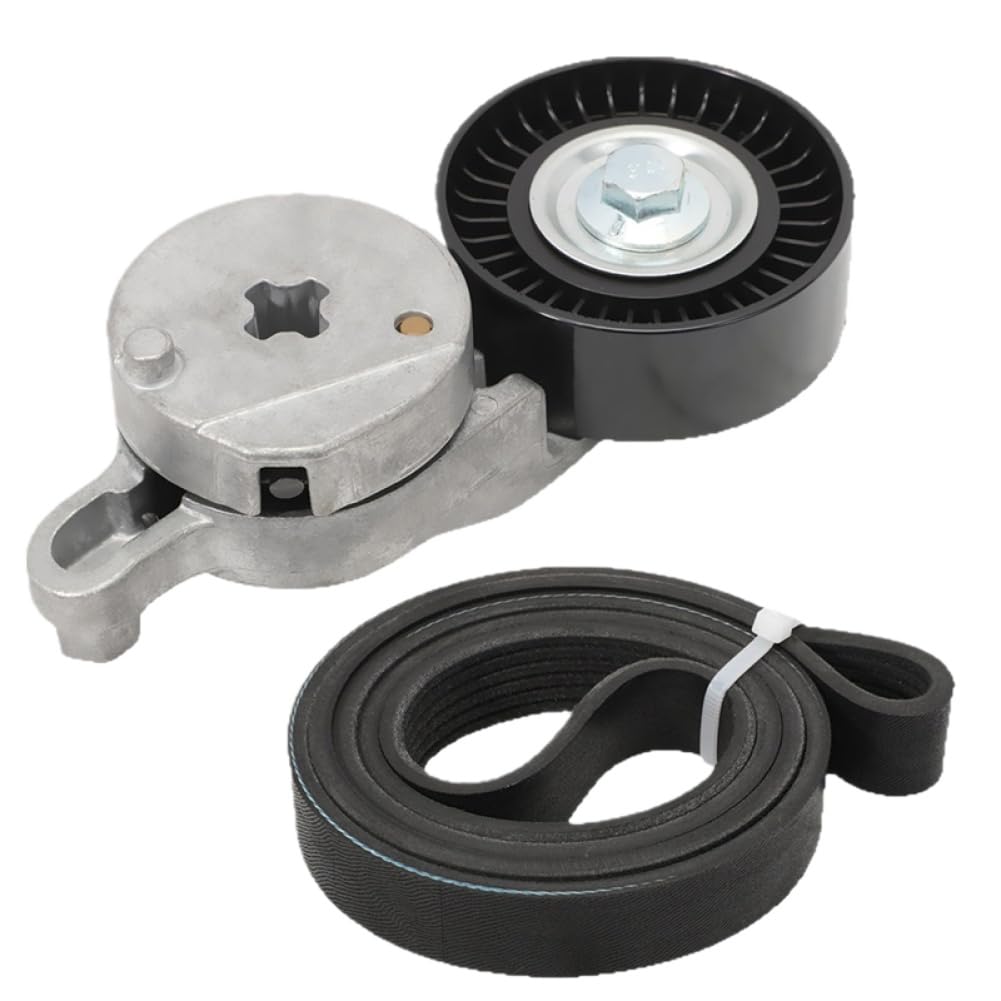 Kit Assemblea Tendicinghia Compatibile Con Well Drive 1662036010