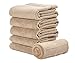 Produktbild iDesign 6er-Set Handtücher, kleines Handtuch mit gewebter Verzierung aus Baumwolle, weiches und saugfähiges Handtuch Set mit Aufhänger für Waschbecken und Gäste-WC, beige