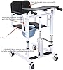 Patient Lift Transfer Chair, Patient Lift Wheelchair for Home,Lightweight Bedside Bathroom Wheelchair for Caregivers Elderly Living (Style)