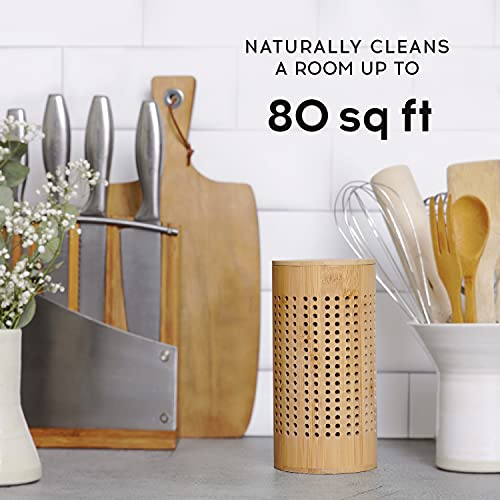 APRAII Activated Charcoal Bags - Odor Eliminator for Home - Air Purifying Bags - Bamboo Charcoal - Moisture Absorber - Closest Freshener - Image 10